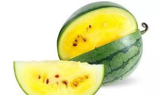 吃瓜易支付,便捷生活新选择，轻松支付新体验