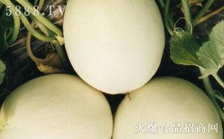 吃瓜上火吗,揭秘日常饮食中的健康误区