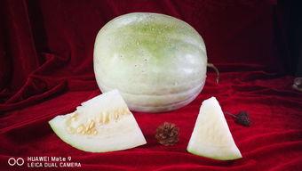 三白瓜适合哪些人吃,适合哪些人群享用的健康佳品